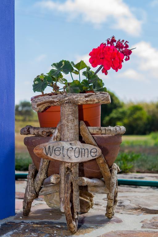 Alloggio per agriturismo Monte Da Boavista São Teotónio